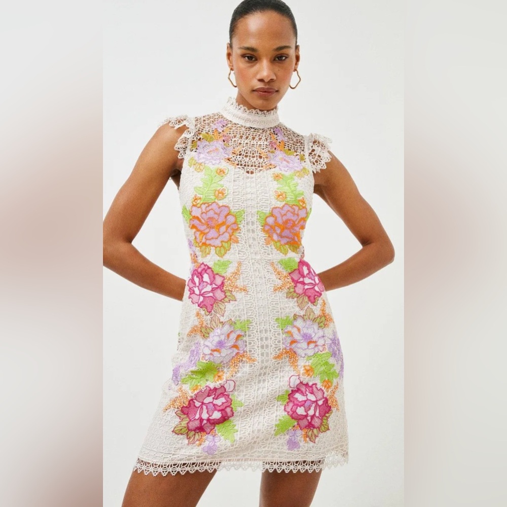 Karen Millen Lace Mini Dress with Bold Floral Accents in Pink and Purple (6)
